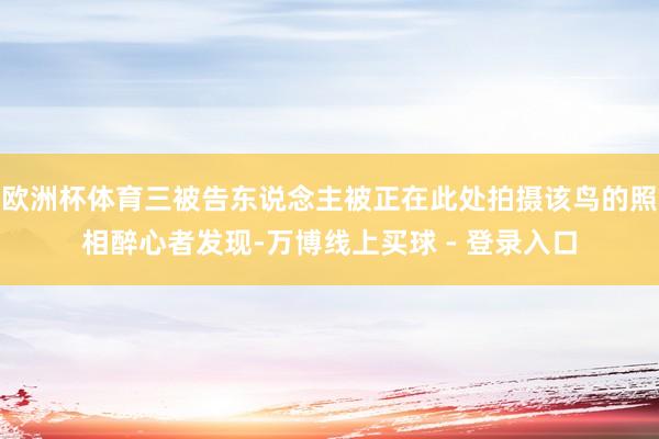 欧洲杯体育三被告东说念主被正在此处拍摄该鸟的照相醉心者发现-万博线上买球 - 登录入口