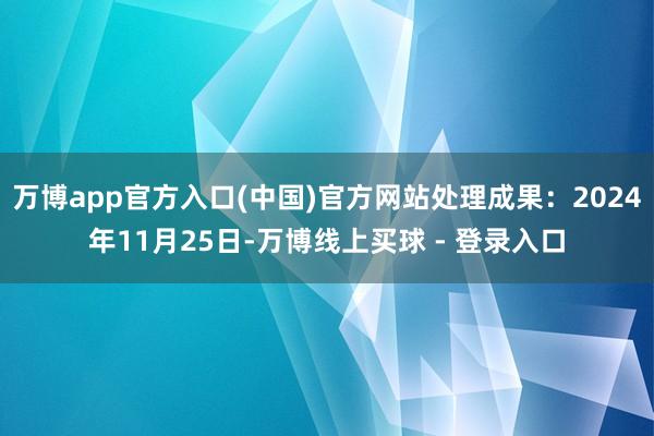 万博app官方入口(中国)官方网站处理成果:2024年11月25日-万博线上买球 - 登录入口