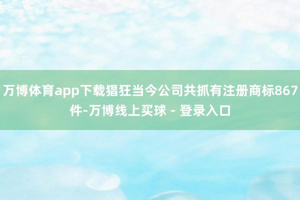 万博体育app下载猖狂当今公司共抓有注册商标867件-万博线上买球 - 登录入口