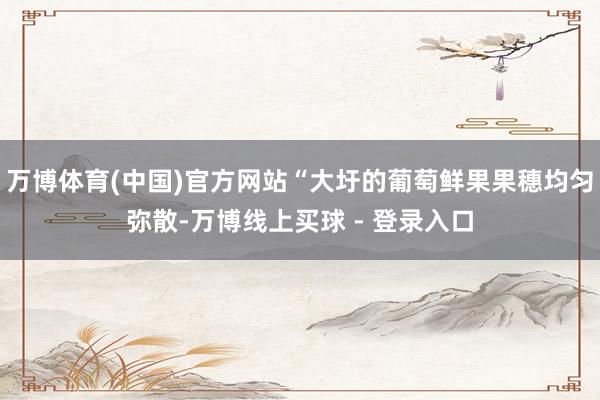 万博体育(中国)官方网站“大圩的葡萄鲜果果穗均匀弥散-万博线上买球 - 登录入口